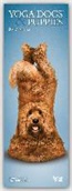 Dan Borris - Yoga Dogs & Puppies 2017 Slim
