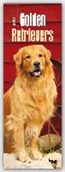 Golden Retrievers 2017