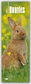 Bunnies 2017 Slim