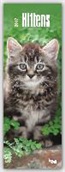 Kitten Cuddles 2017 Slimline Calendar