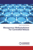 Ratan Pal Singh Randhawa - Mesoporous Methylcellulose For Controlled Release