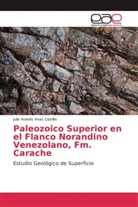 Julio Andrés Vivas Castillo - Paleozoico Superior en el Flanco Norandino Venezolano, Fm. Carache