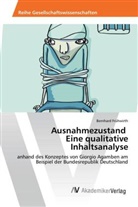 Bernhard Frühwirth - Ausnahmezustand Eine qualitative Inhaltsanalyse