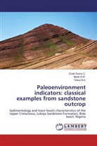 Mod A W, Mode A W, Mode A. W., Mode A.W., Yelwa N A, Yelwa N. A.... - Paleoenvironment indicators: classical examples from sandstone outcrop