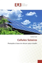 Beddiaf Zaidi, Zaidi-b - Cellules solaires