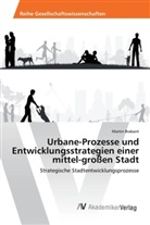 Martin Brabant - Urbane-Prozesse und Entwicklungsstrategien einer mittel-großen Stadt