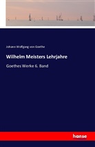Ludwig Geiger, Johann Wolfgang von Goethe - Wilhelm Meisters Lehrjahre