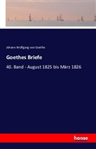 Johann Wolfgang von Goethe - Goethes Briefe