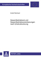 André Reinhard - Gesamtbetriebsrat und Gesamtbetriebsvereinbarungen nach Umstrukturierung