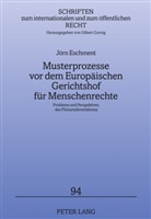 Jörn Eschment - Musterprozesse vor dem Europäischen Gerichtshof für Menschenrechte