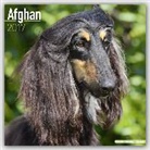 Avonside Publishing Ltd. - Afghan Calendar 2017