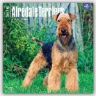 Not Available (NA) - Airedale Terriers 2017 Calendar