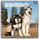 Not Available (NA) - Alaskan Malamutes 2017 Calendar