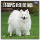 Not Available (NA) - American Eskimo Dogs 2017 Calendar