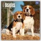 Not Available (NA) - Beagles 2017 Calendar
