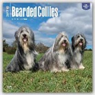 Not Available (NA) - Bearded Collies 2017 Calendar