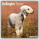 BrownTrout Publisher - Bedlington Terrier 2017
