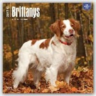 Not Available (NA) - Brittanys 2017 Calendar