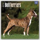 Bull Terriers - Bull Terrier 2017 - 18-Monatskalender mit freier DogDays-App