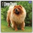 Not Available (NA) - Chow Chows 2017 Calendar