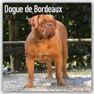 Avonside Publishing Ltd. - Dogue de Bordeaux Calendar 2017