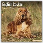 Avonside Publishing Ltd. - English Cocker Spaniel Calendar 2017