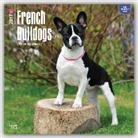 Inc Browntrout Publishers, Not Available (NA) - French Bulldogs 2017 Calendar
