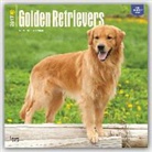 Not Available (NA) - Golden Retrievers 2017 Calendar