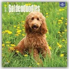 Not Available (NA) - Goldendoodles 2017 Calendar
