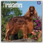Not Available (NA) - Irish Setters 2017 Calendar