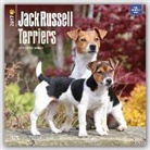 Not Available (NA) - Jack Russell Terriers 2017 Calendar