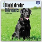 Inc Browntrout Publishers, Not Available (NA) - Labrador Retrievers, Black 2017 Calendar