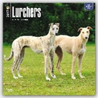 BrownTrout Publisher, Not Available (NA) - Lurchers 2017 Calendar