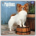 Not Available (NA) - Papillons 2017 Calendar