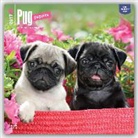 Inc Browntrout Publishers, Not Available (NA) - Pug Puppies 2017 Calendar