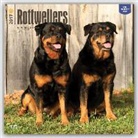 BrownTrout Publisher, Inc Browntrout Publishers, Not Available (NA) - Rottweilers 2017 Calendar