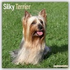BrownTrout Publisher - Silky Terrier 2017