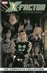 Peter David, Pablo Raimondi, Ryan Sook - X-factor By Peter David: The Complete Collection Volume 1