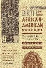 Sidney W. Mintz, Sidney Wilfred Mintz - The Birth of African-American Culture