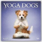 Dan Borris, Inc Browntrout Publishers, Not Available (NA) - Yoga Dogs 2017 Calendar
