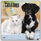 BrownTrout Publisher - Cats & Dogs - Katzen & Hunde 2017 - 18-Monatskalender