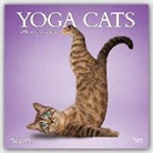 Dan Borris, Inc Browntrout Publishers, Not Available (NA) - Yoga Cats 2017 Calendar
