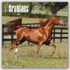 Not Available (NA) - Arabians 2017 Calendar