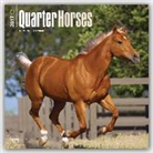 Not Available (NA) - Quarter Horses 2017 Calendar