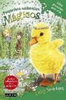 Daisy Meadows - Pequeños animales mágicos 3. Ellie Plumitas está sola