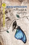 John Wyndham - The Chrysalids