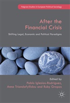 Pablo Triandafyllidou Iglesias-Rodriguez, Ruby Gropas, Pablo Iglesias-Rodriguez, Ann Triandafyllidou, Anna Triandafyllidou - After the Financial Crisis