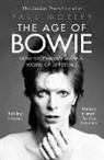Paul Morley, Morley Paul, Paul Morley - The Age of Bowie
