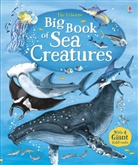 Lacey, Minna Lacey, Fiorin, Fabiano Fiorin - Big Book of Sea Creatures