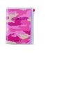 MARK'S Taschenkalender A6 vertikal, CAMOUFLAGE, Pink 2016/2017